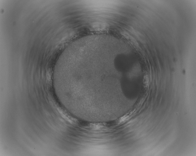 X0000088590662200706081329