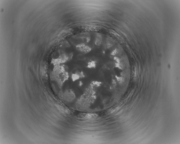 X0000088590663200706081329