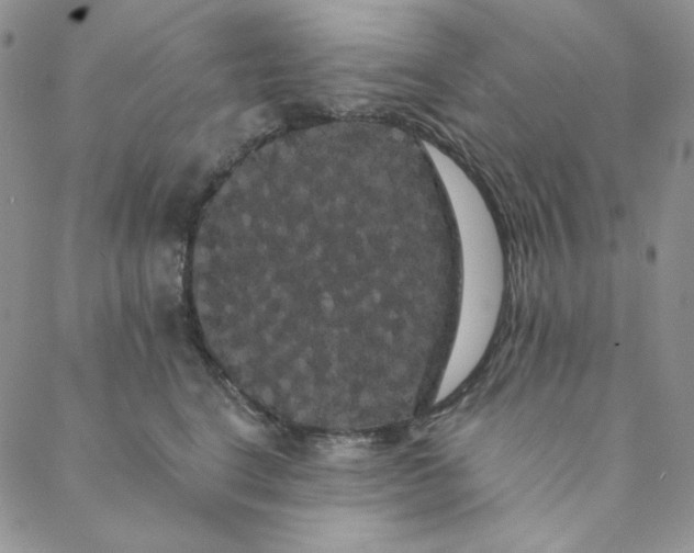 X0000088590664200706081329