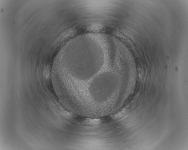 X0000088590665200706081329