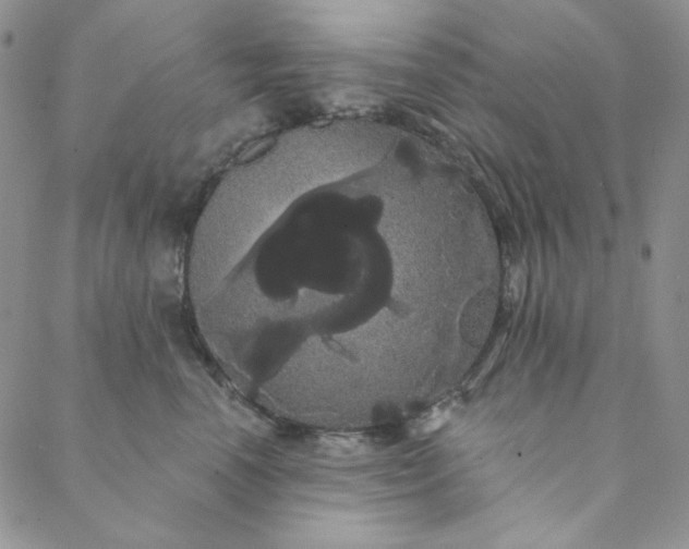 X0000088590666200706081329