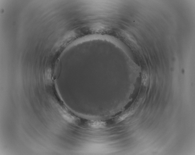 X0000088590670200706081329