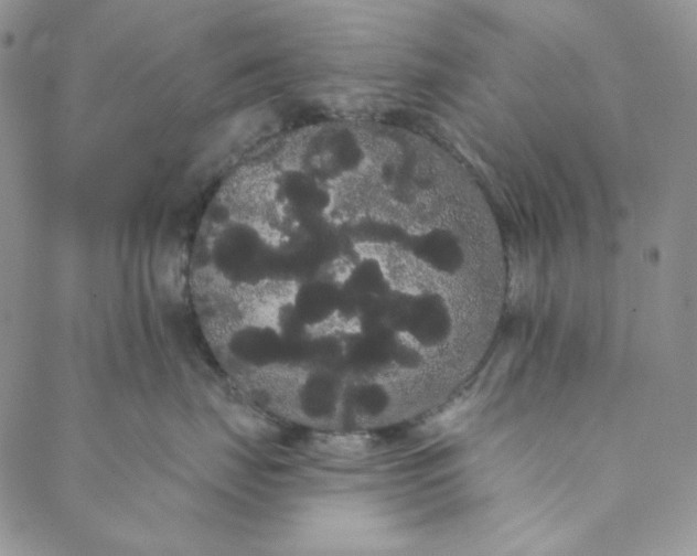 X0000088590671200706081329