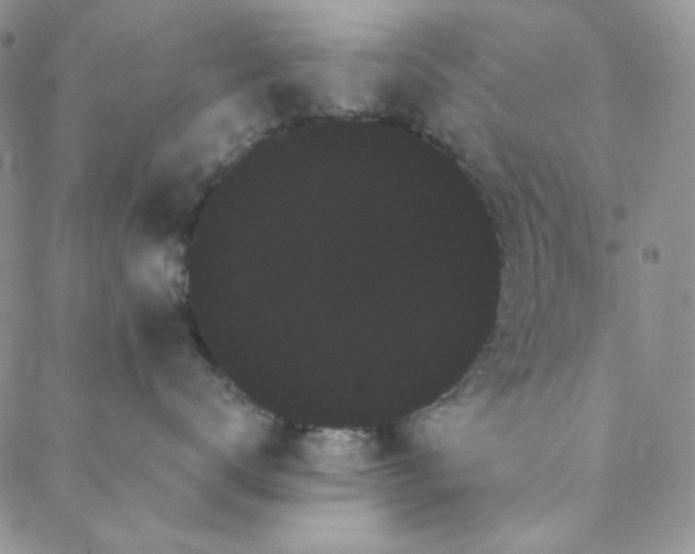 X0000088590672200706081329