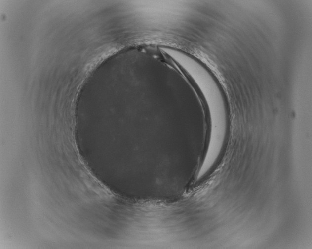 X0000088590673200706081328