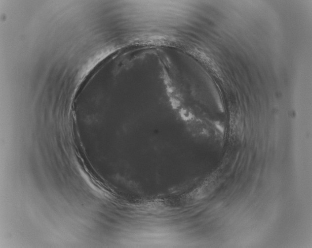 X0000088590674200706081328