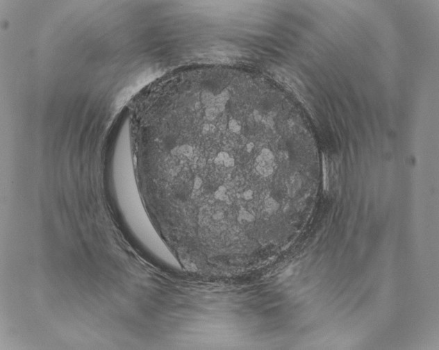 X0000088590675200706081328