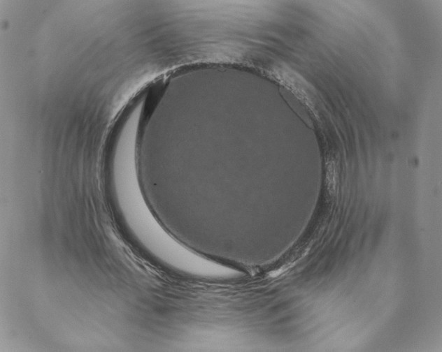 X0000088590676200706081328