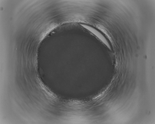 X0000088590677200706081328