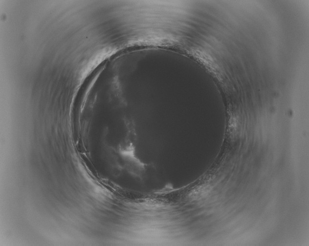 X0000088590678200706081328