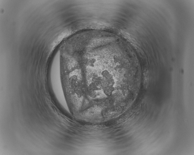 X0000088590679200706081328