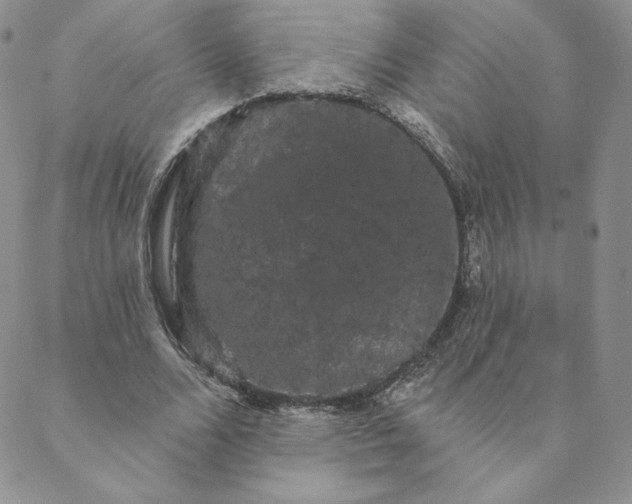 X0000088590680200706081328