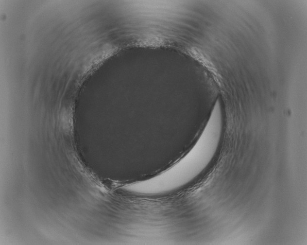 X0000088590681200706081328