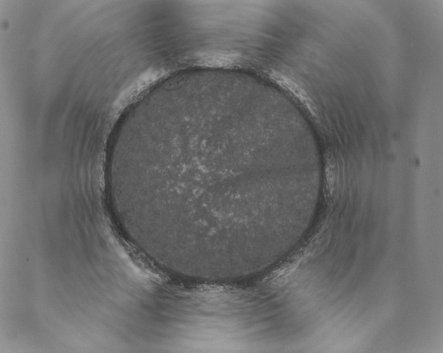 X0000088590682200706081328