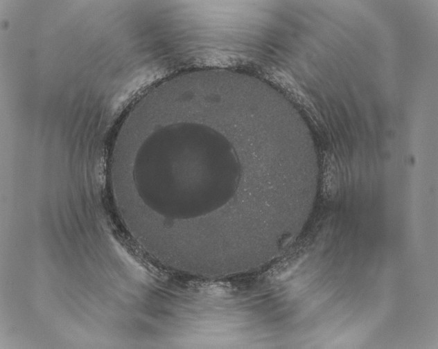 X0000088590683200706081328