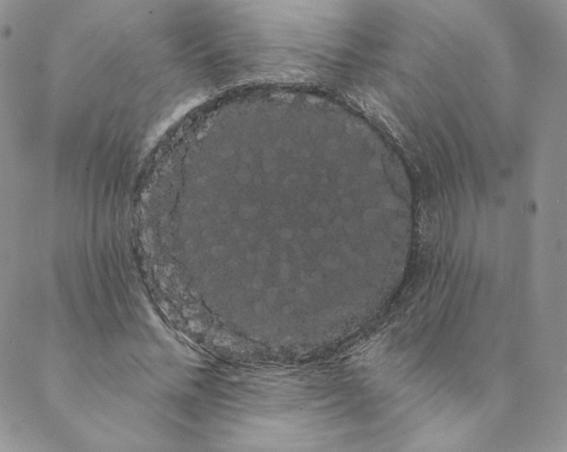 X0000088590684200706081328