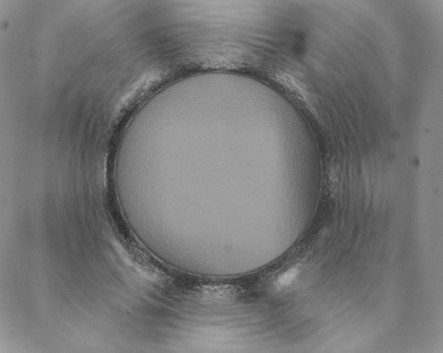 X0000088590686200706081328