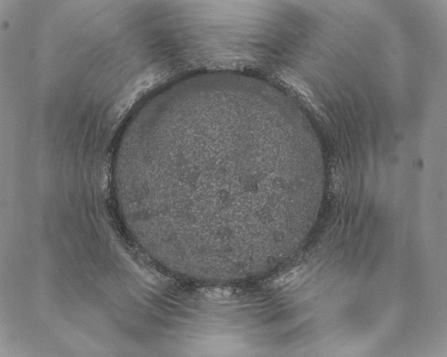 X0000088590687200706081328