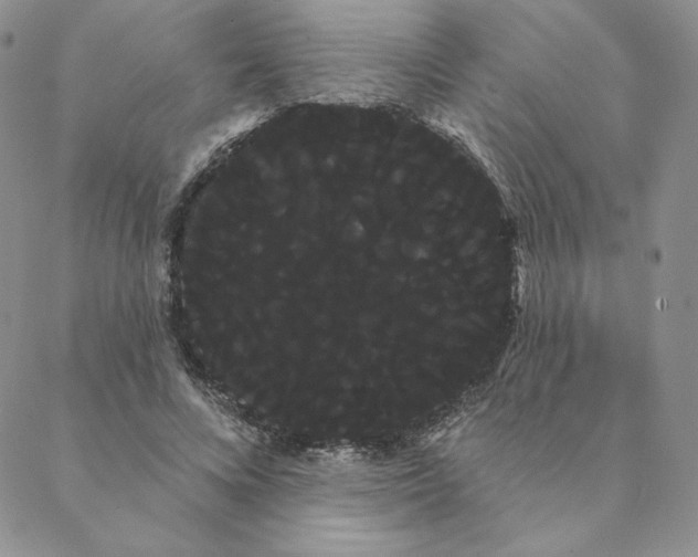 X0000088590688200706081328