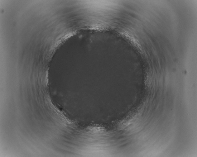 X0000088590689200706081328