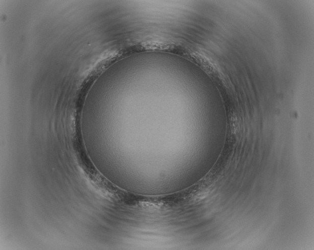 X0000088590690200706081328