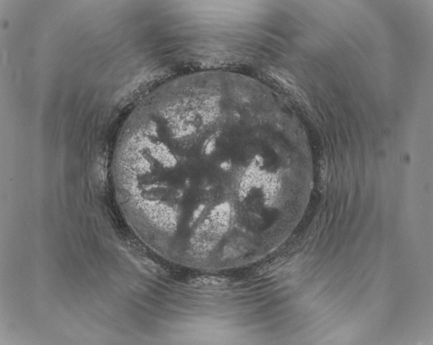 X0000088590691200706081328