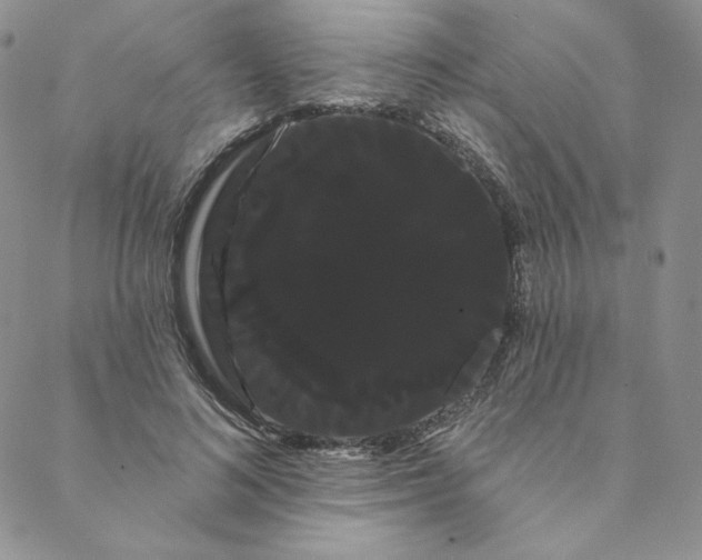 X0000088590692200706081328