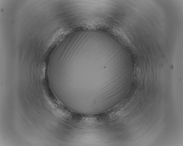 X0000088590694200706081328