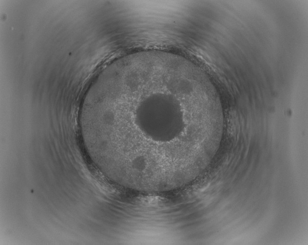 X0000088590695200706081328