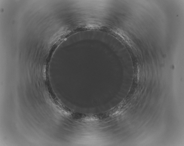 X0000088590696200706081328