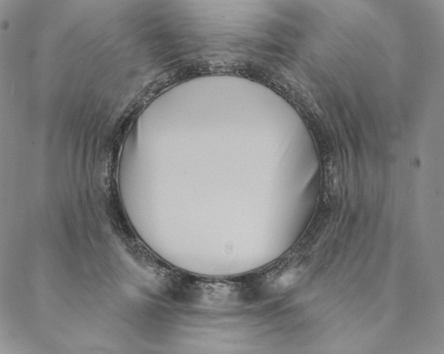 X0000088590698200706081328