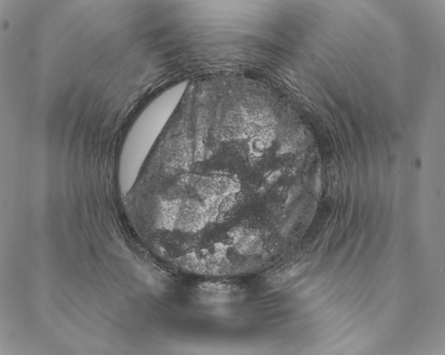 X0000088590699200706081328