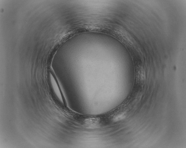 X0000088590700200706081328