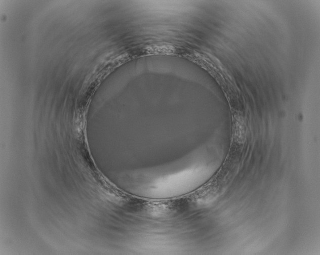 X0000088590701200706081328