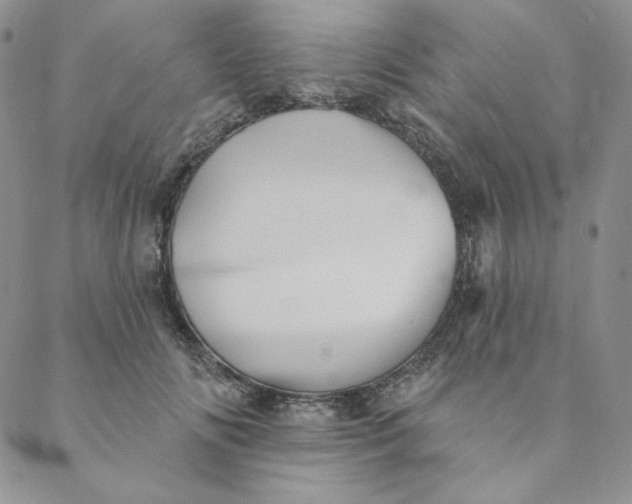 X0000088590702200706081328