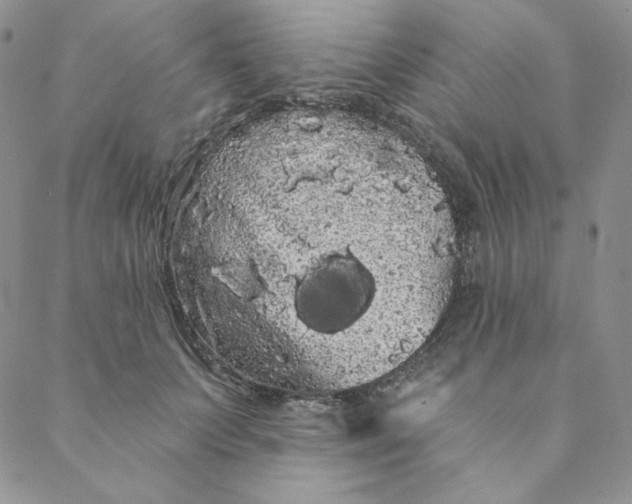 X0000088590703200706081328