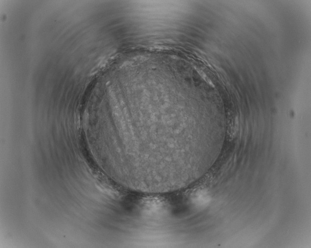 X0000088590704200706081328