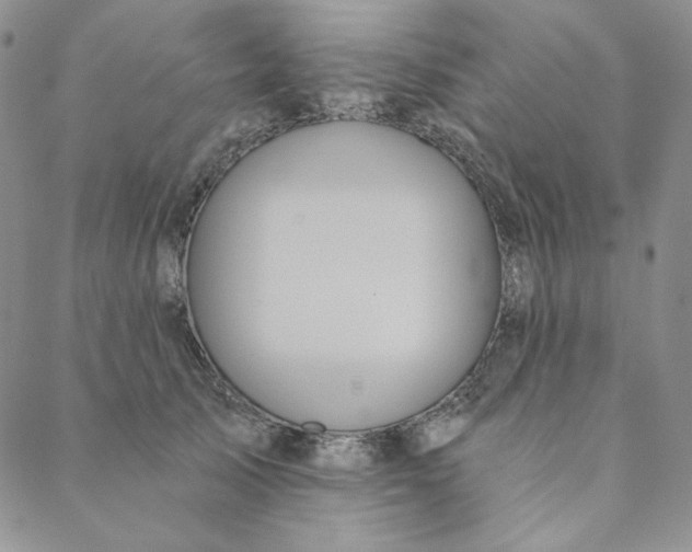 X0000088590705200706081328