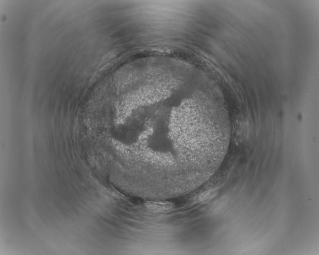 X0000088590707200706081328