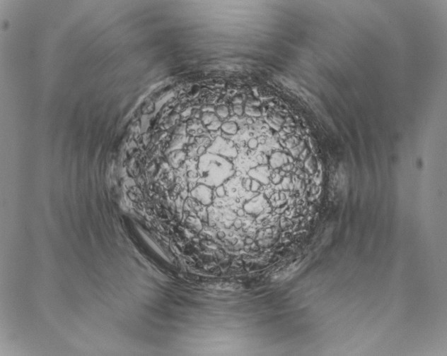 X0000088590708200706081328