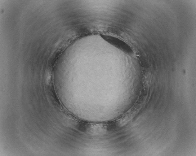 X0000088590709200706081328