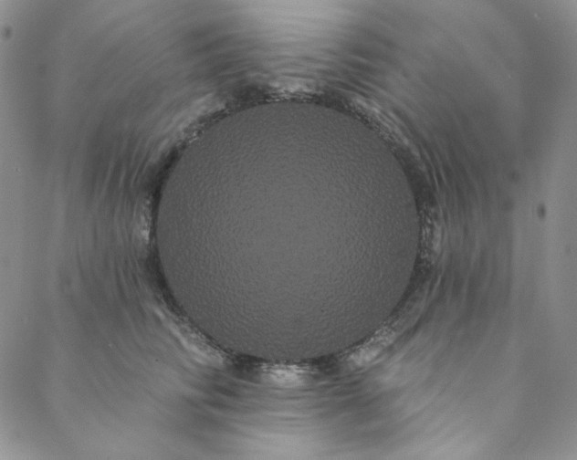 X0000088590710200706081328