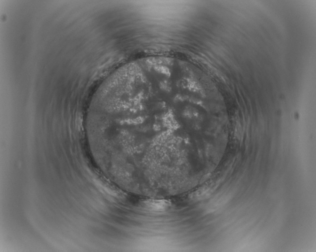 X0000088590711200706081328