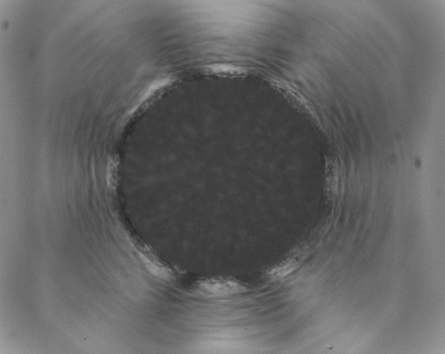 X0000088590712200706081328