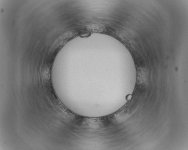 X0000088590713200706081328