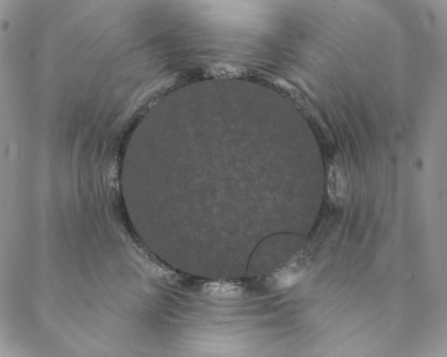 X0000088590714200706081328