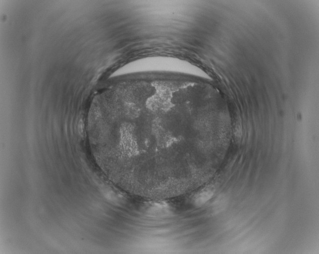 X0000088590715200706081328