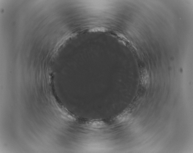 X0000088590716200706081328