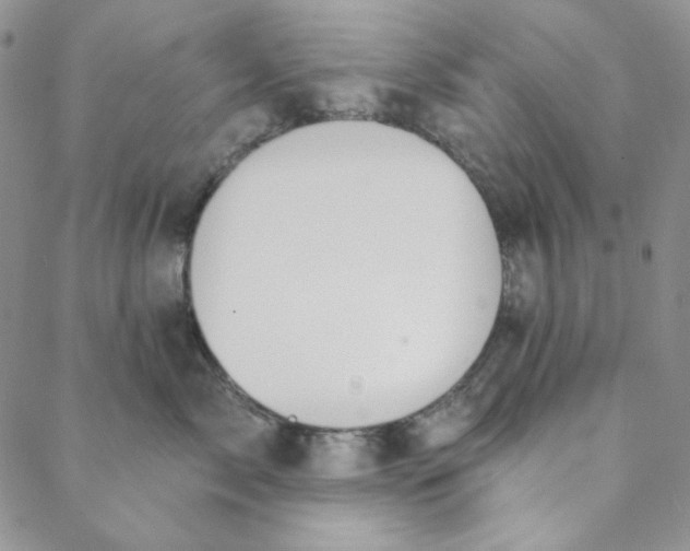 X0000088590717200706081328