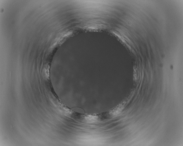 X0000088590718200706081328